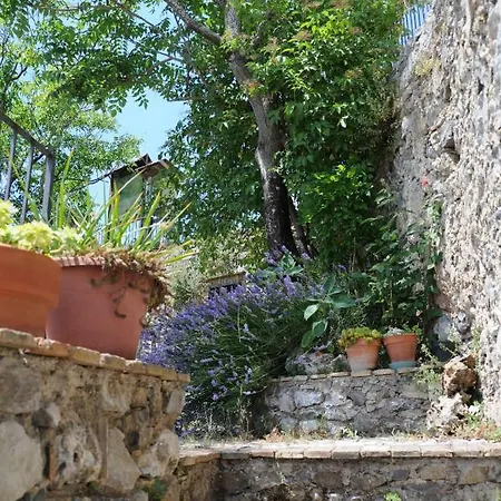 Apartment Il Nibbio - Casa Dell'artista
